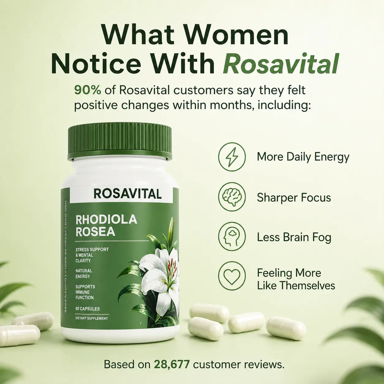 Rhodiola Capsules